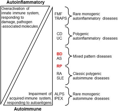 Innate immune responses in Behçet disease and relapsing polychondritis